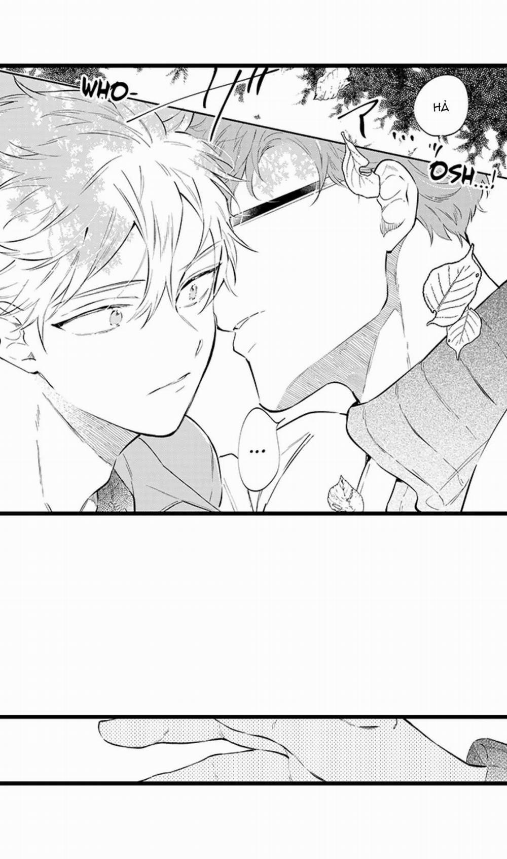 Ly Hôn Đi, Hỡi Ngài Alpha 28 trang 20