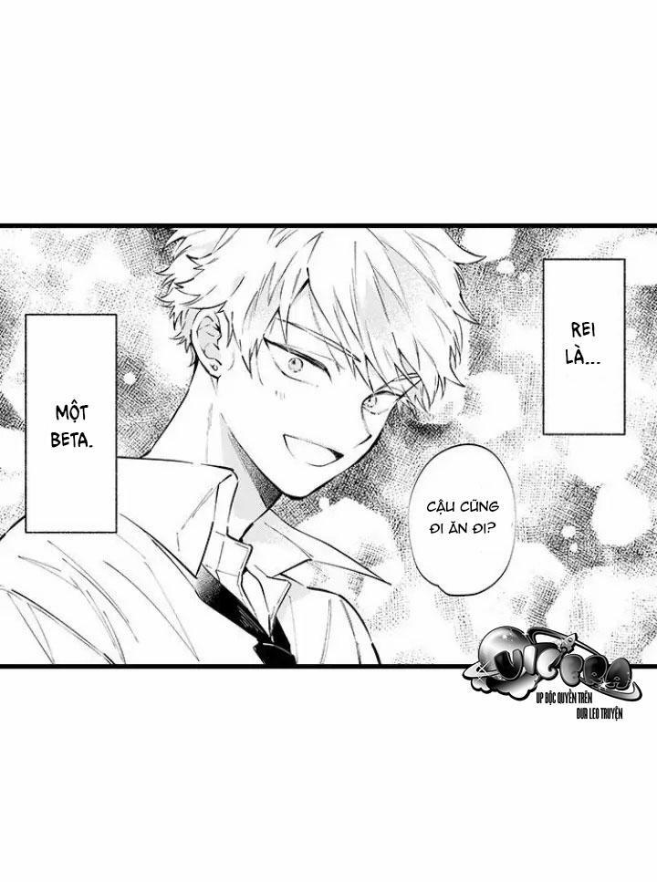 Ly Hôn Đi, Hỡi Ngài Alpha 8 trang 6