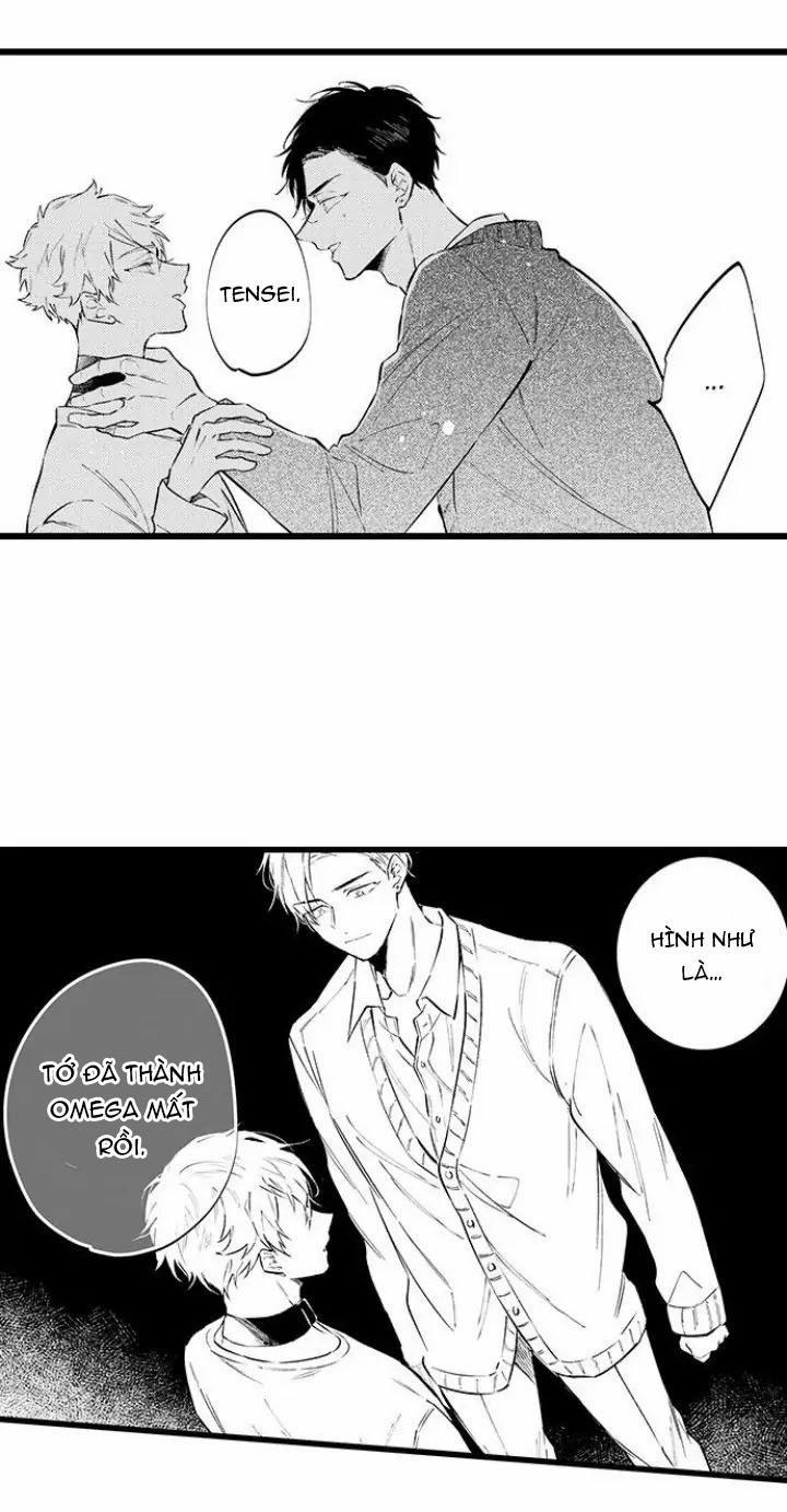 Ly Hôn Đi, Hỡi Ngài Alpha 9 trang 2