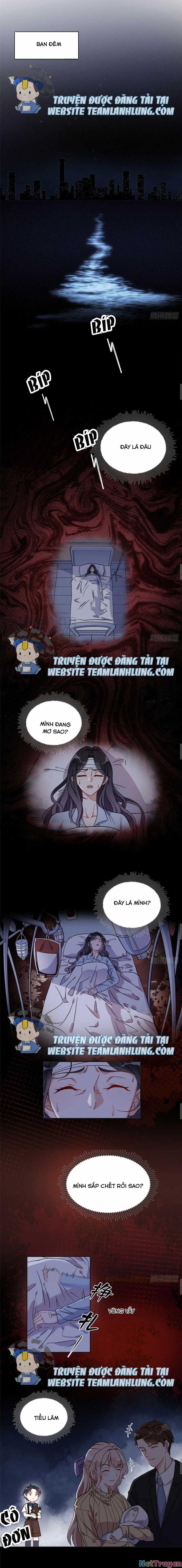 Ly Hôn Với Đại Boss Tôi Càng Tỏa Sáng Hơn 41 trang 3