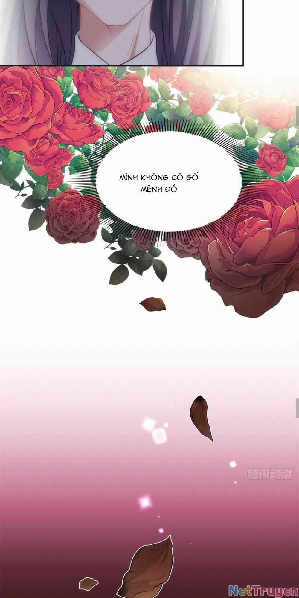 Ly Hôn Với Đại Boss Tôi Càng Tỏa Sáng Hơn 71 trang 23