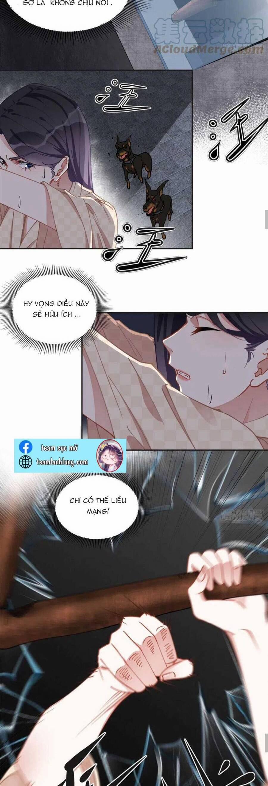 Ly Hôn Với Đại Boss Tôi Càng Tỏa Sáng Hơn 73 trang 10