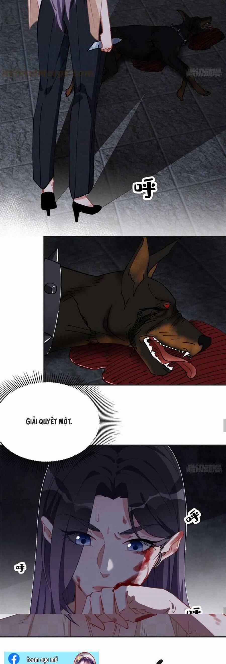 Ly Hôn Với Đại Boss Tôi Càng Tỏa Sáng Hơn 73 trang 15