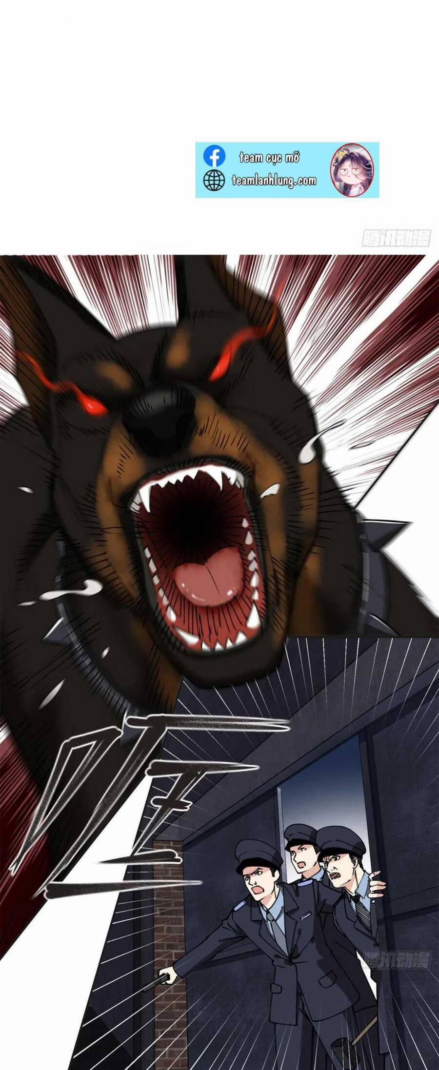 Ly Hôn Với Đại Boss Tôi Càng Tỏa Sáng Hơn 74 trang 1