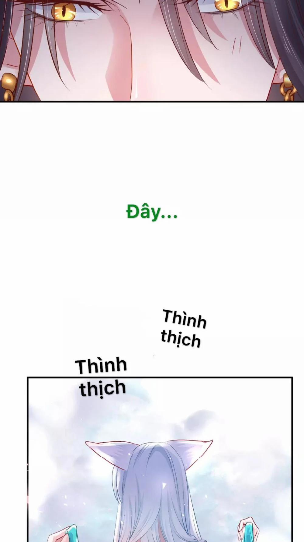 Ma Tôn Muốn Ôm Ôm 13.1 trang 8