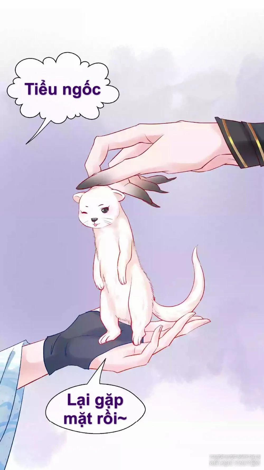 Ma Tôn Muốn Ôm Ôm 17.1 trang 20