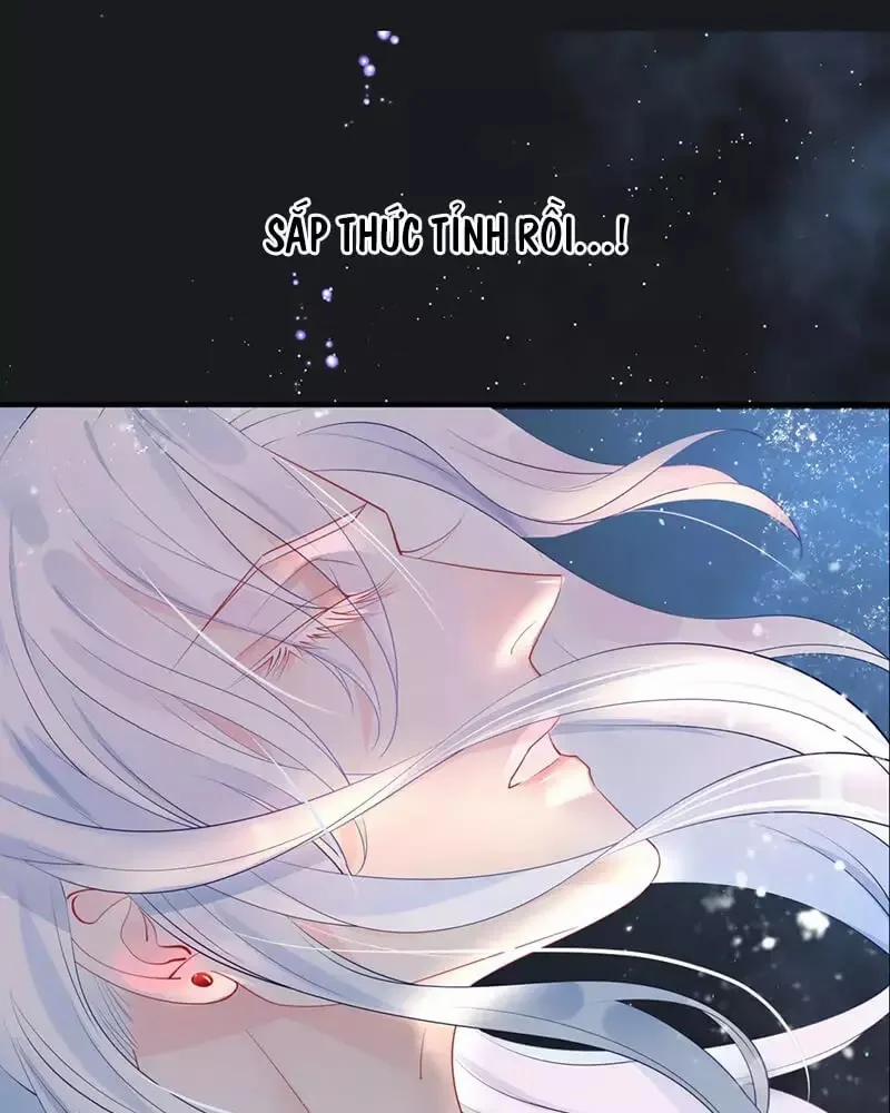 Ma Tôn Muốn Ôm Ôm 55 trang 8