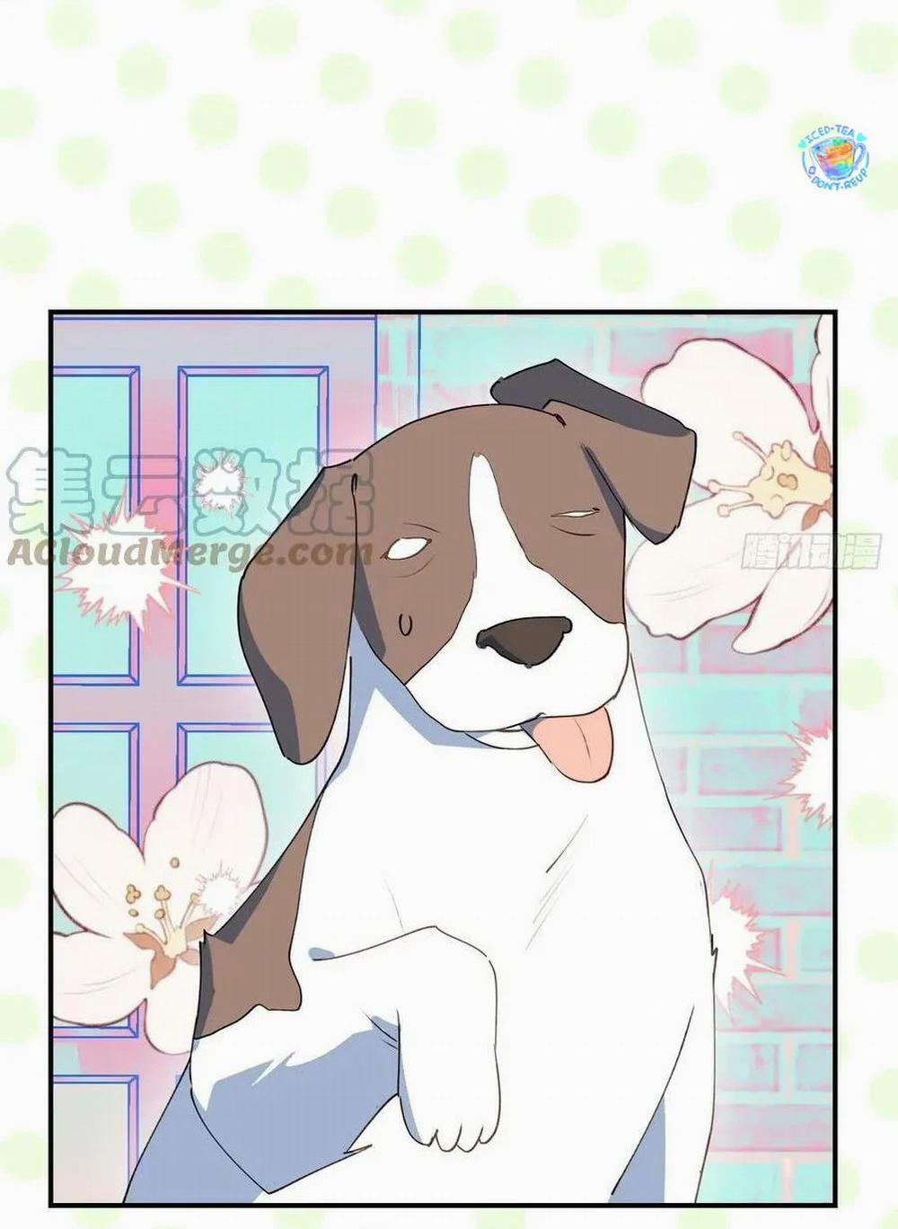 Ma Vương Đại Nhân Luôn Trêu Chọc Tôi 49 trang 13