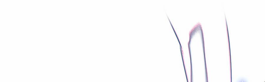 Ma Vương Trở Lại 26 trang 73