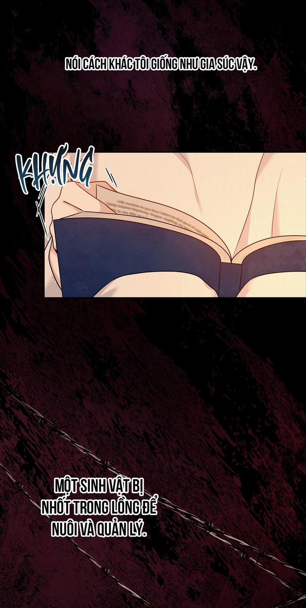 Macguffin 1 trang 24