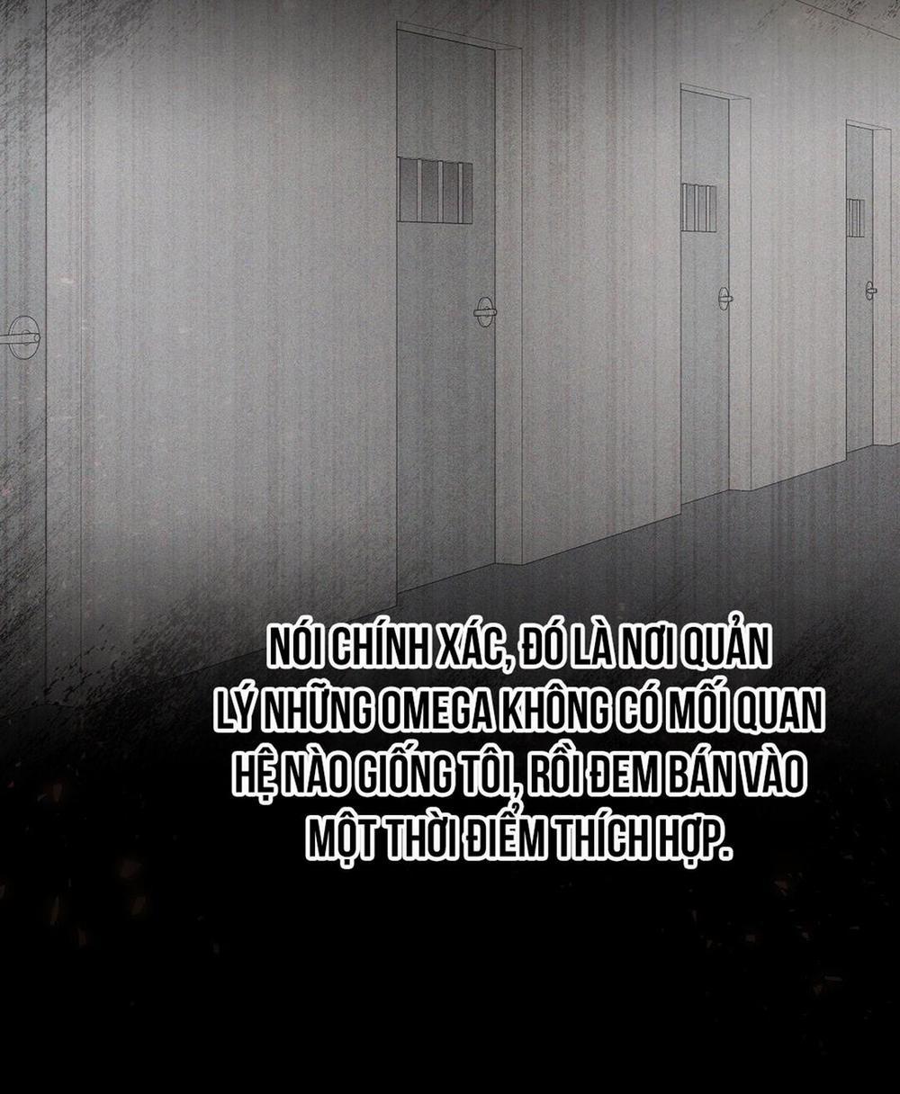 Macguffin 2 trang 65