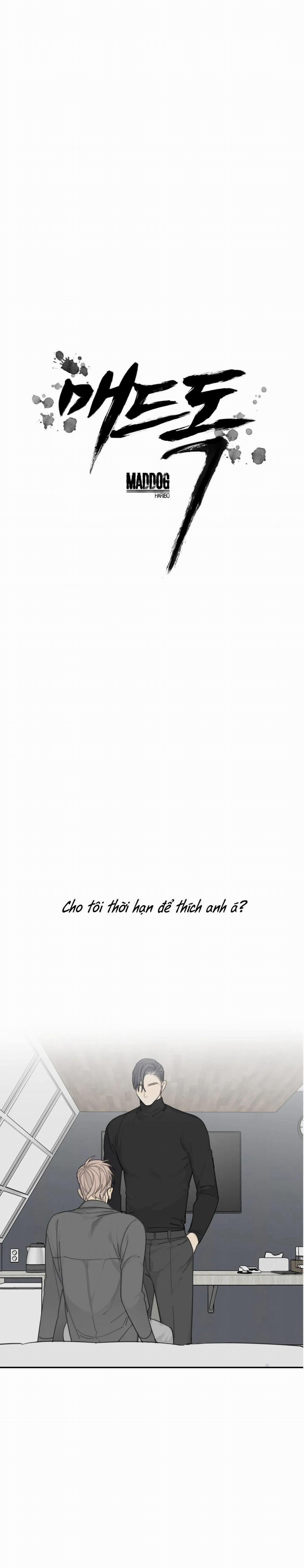Mad Dog 16 trang 1
