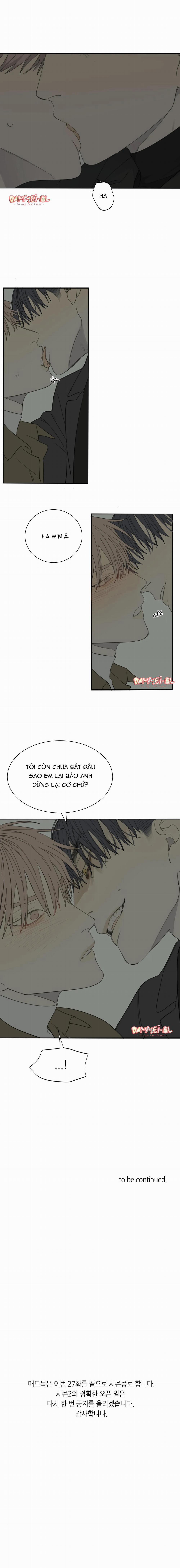 Mad Dog 26.6 trang 8