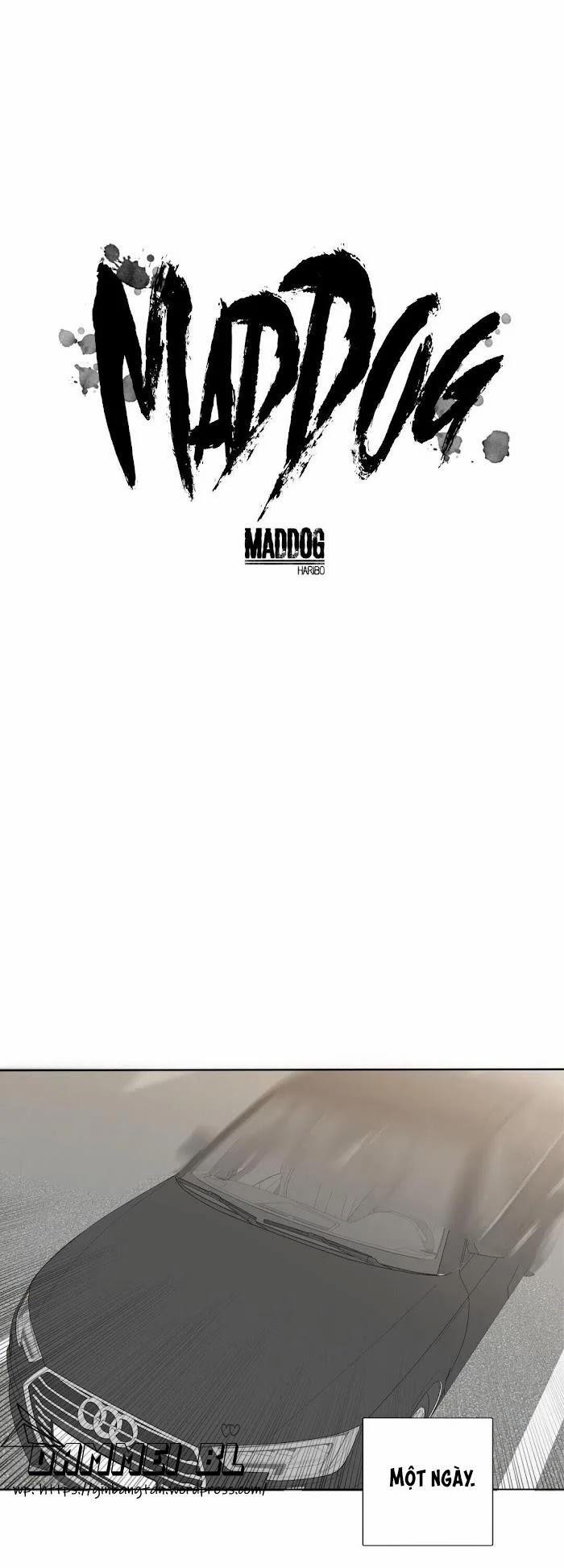 Mad Dog 8 trang 1