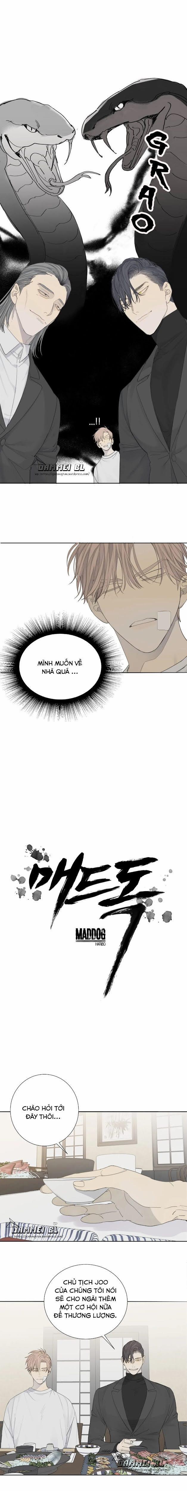 Mad Dog 9 trang 2