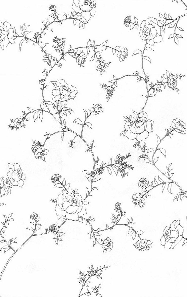 Madame Petit 12 trang 36