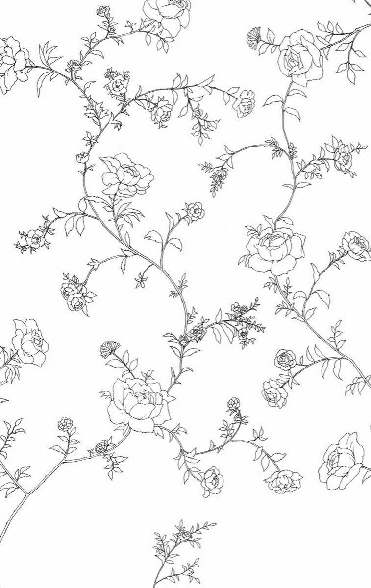 Madame Petit 19 trang 35