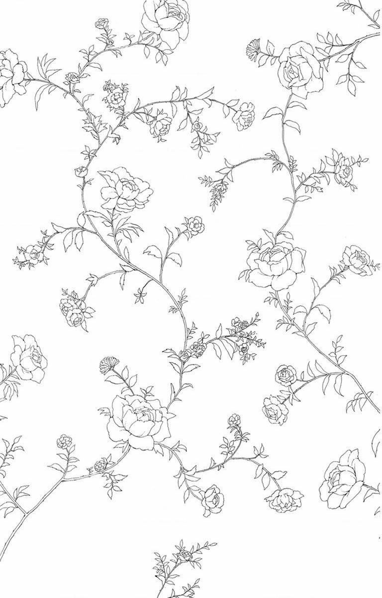 Madame Petit 25 trang 8