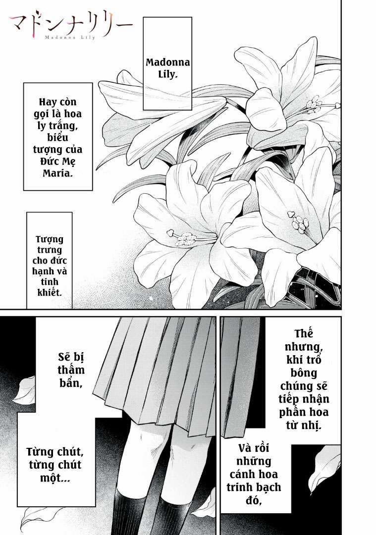 Madonna Lily 1 trang 2
