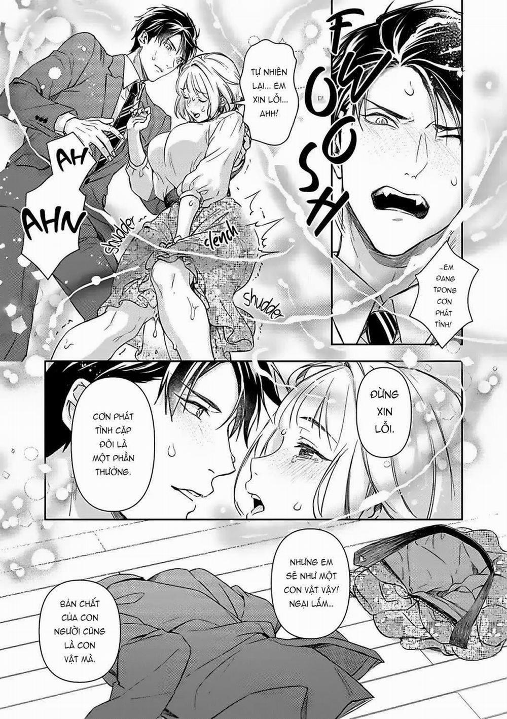 Mafia Và Omega ~ Khao Khát Cháy Bỏng 14.2 trang 10