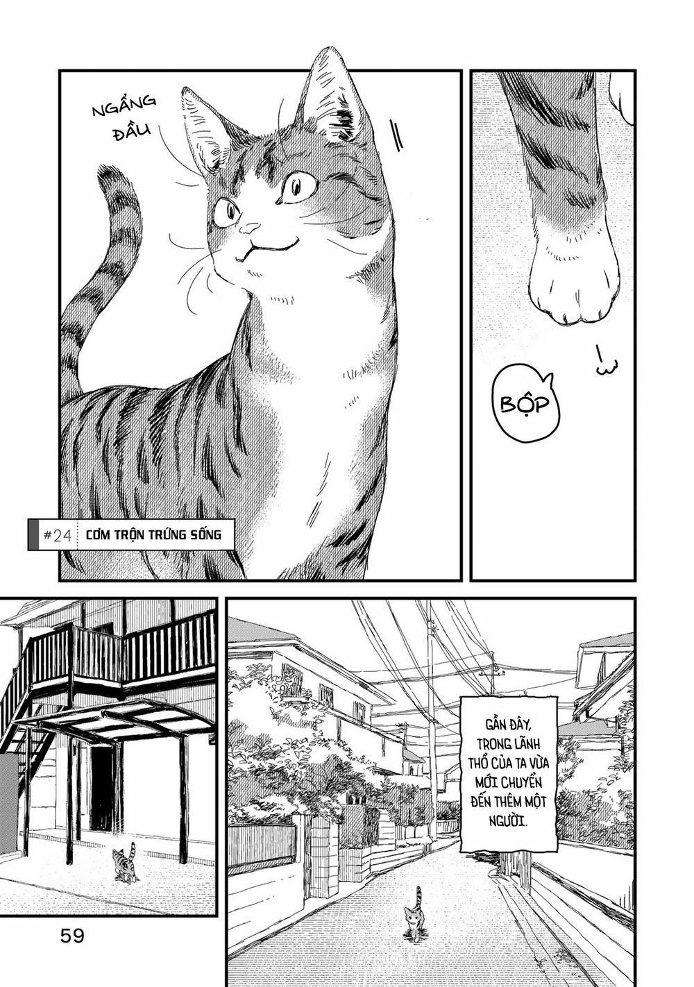 Maid-San Wa Taberu Dake 0 Cơm trộn trứng sống trang 0