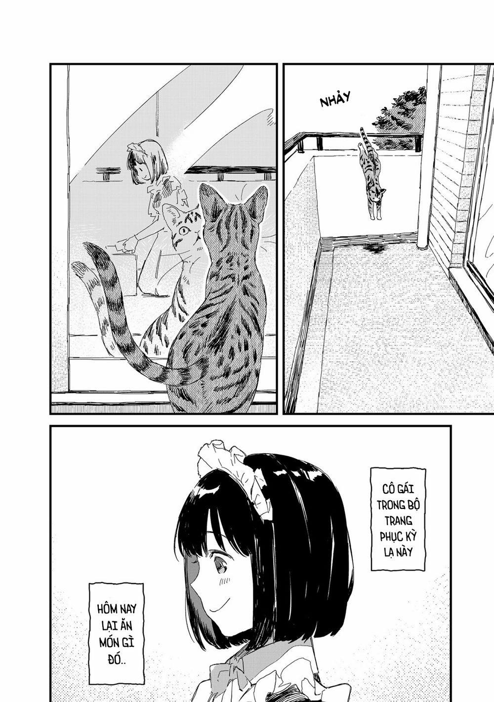 Maid-San Wa Taberu Dake 0 Cơm trộn trứng sống trang 1