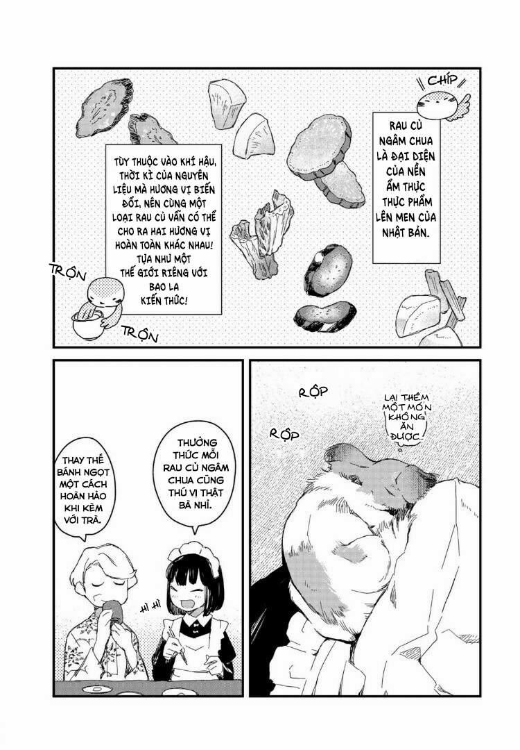 Maid-San Wa Taberu Dake 14 trang 6