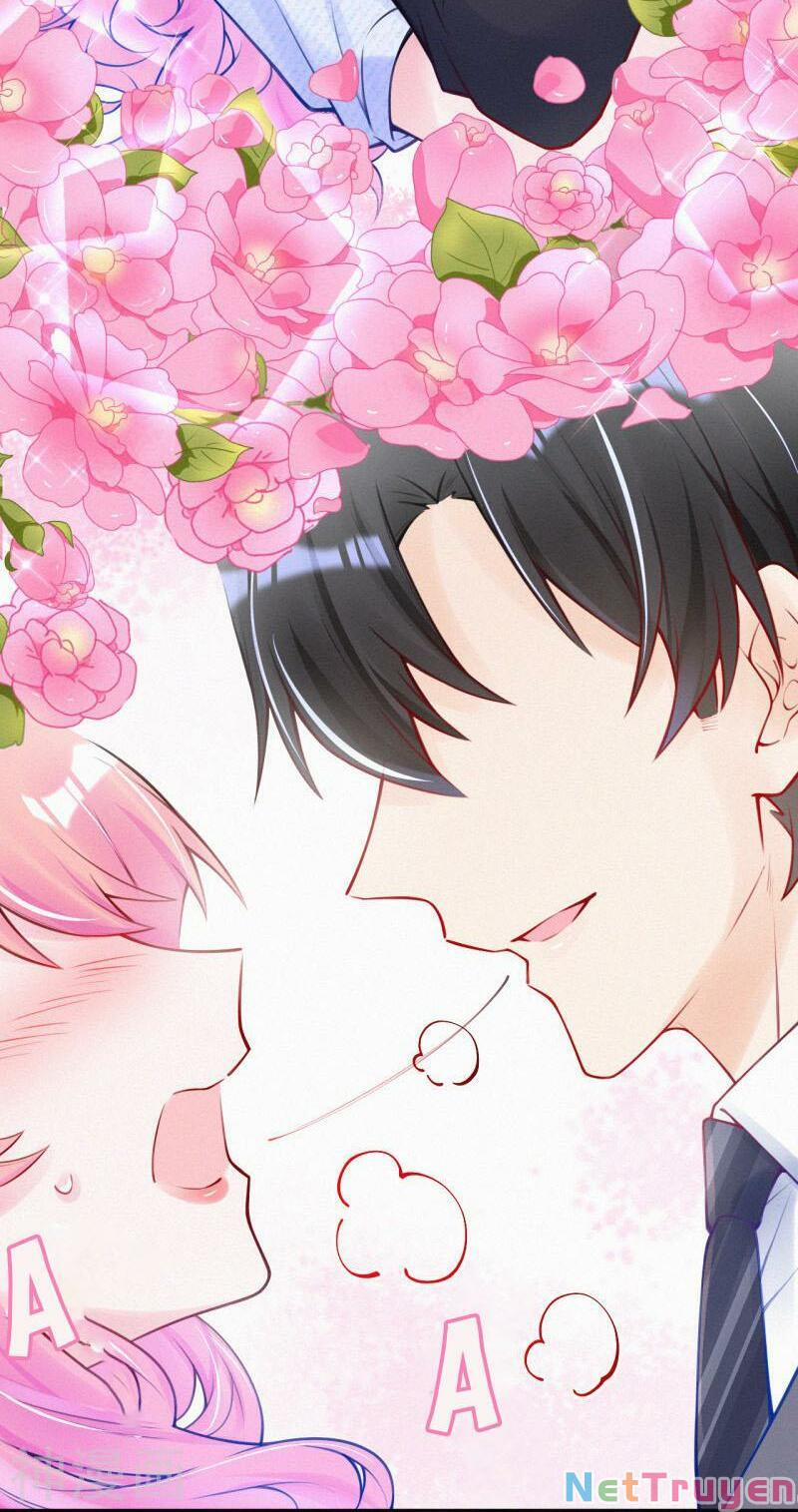 Mami Đột Kích, Thiên Tài Manh Bảo Khốc Daddy 19 trang 39