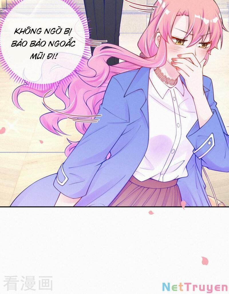 Mami Đột Kích, Thiên Tài Manh Bảo Khốc Daddy 29 trang 22