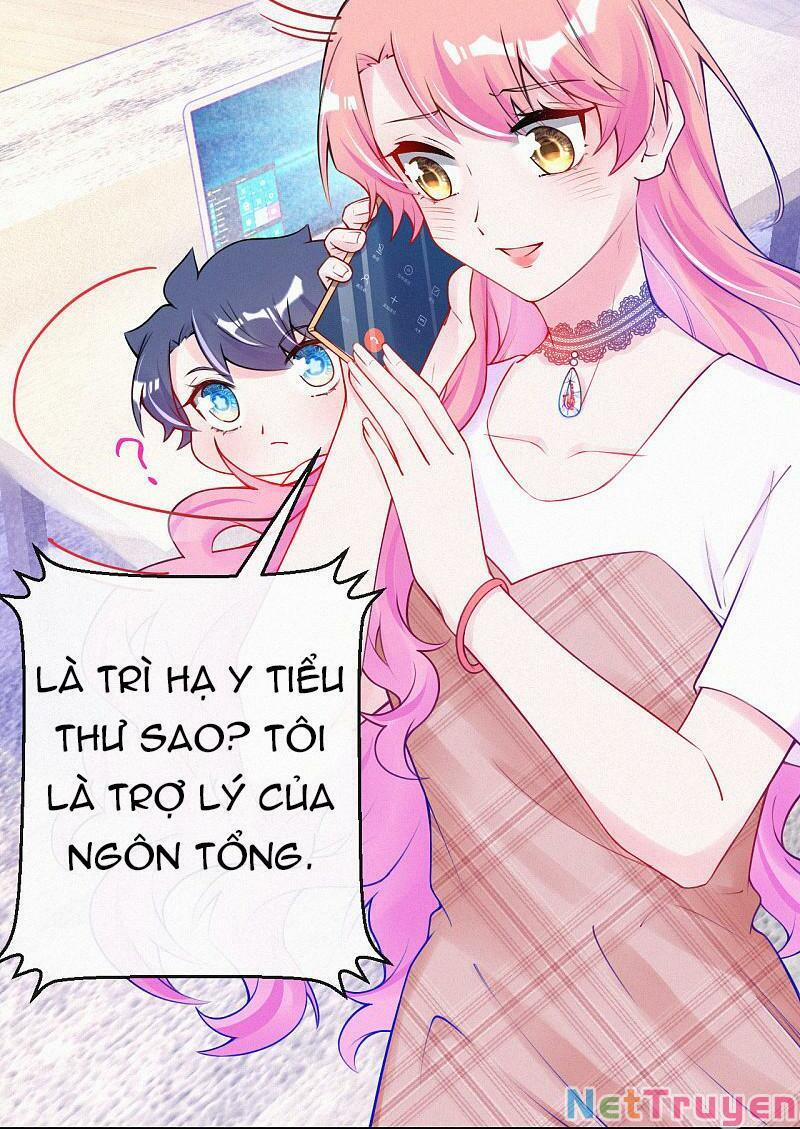 Mami Đột Kích, Thiên Tài Manh Bảo Khốc Daddy 41 trang 5