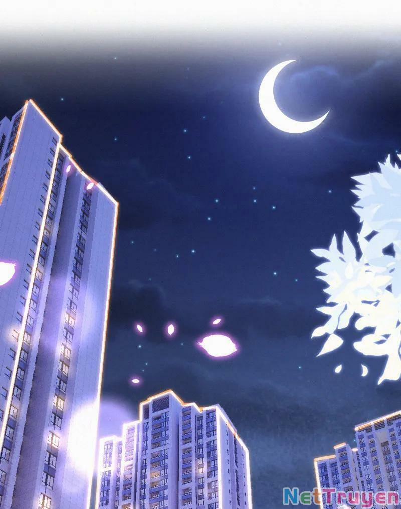 Mami Đột Kích, Thiên Tài Manh Bảo Khốc Daddy 47 trang 16