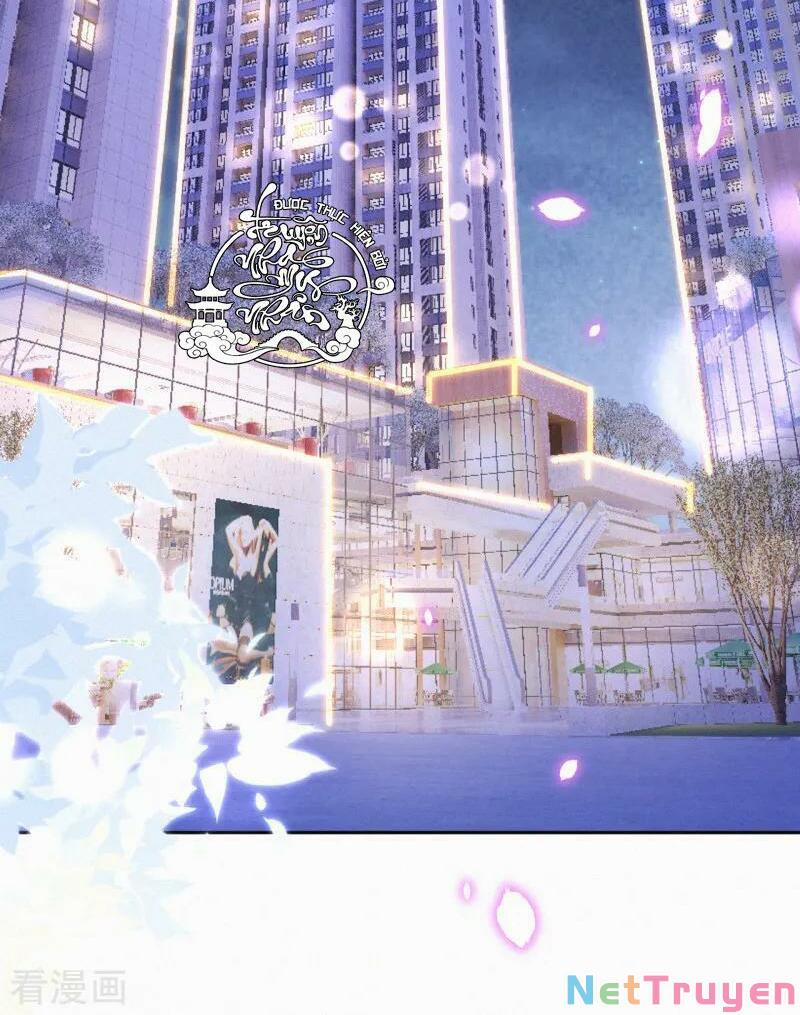 Mami Đột Kích, Thiên Tài Manh Bảo Khốc Daddy 47 trang 17