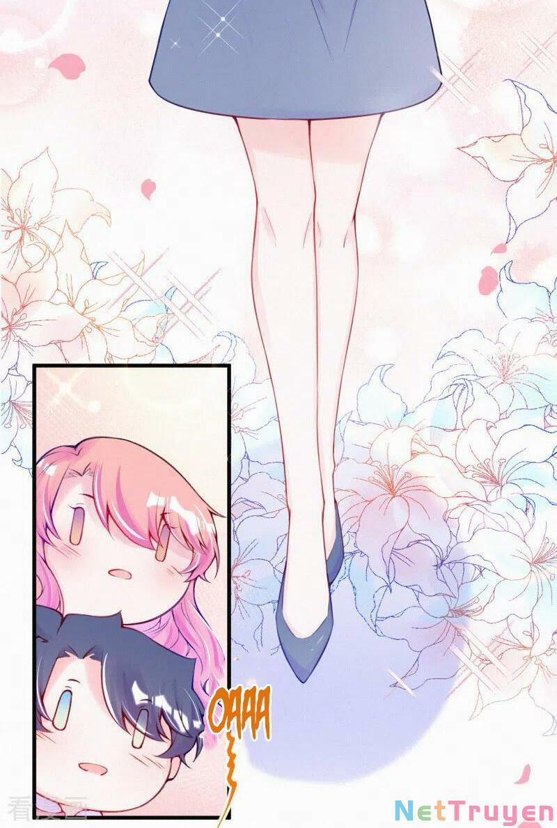 Mami Đột Kích, Thiên Tài Manh Bảo Khốc Daddy 59 trang 5