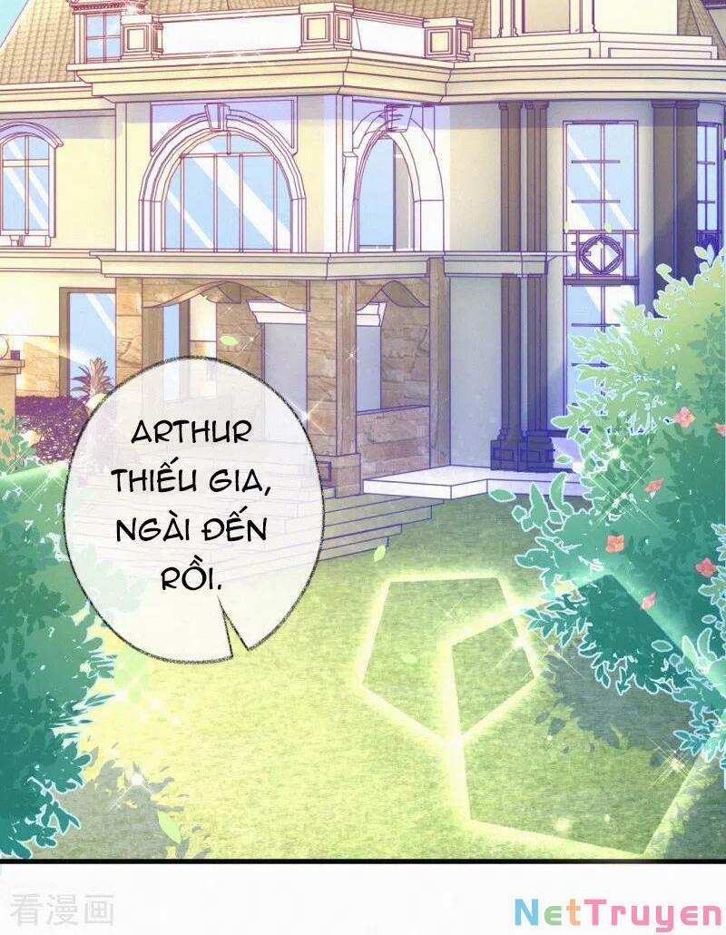 Mami Đột Kích, Thiên Tài Manh Bảo Khốc Daddy 61 trang 19