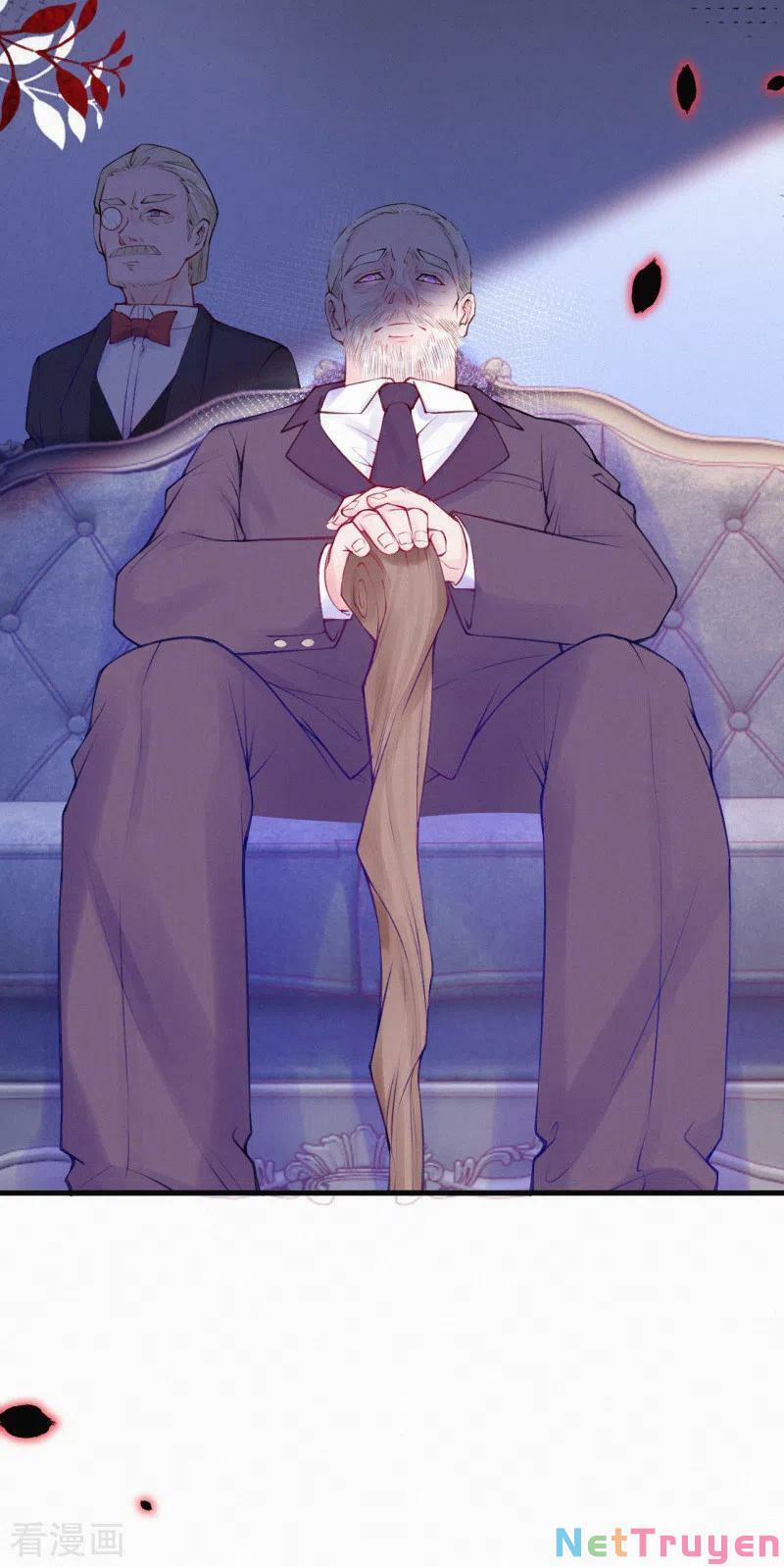 Mami Đột Kích, Thiên Tài Manh Bảo Khốc Daddy 66 trang 11