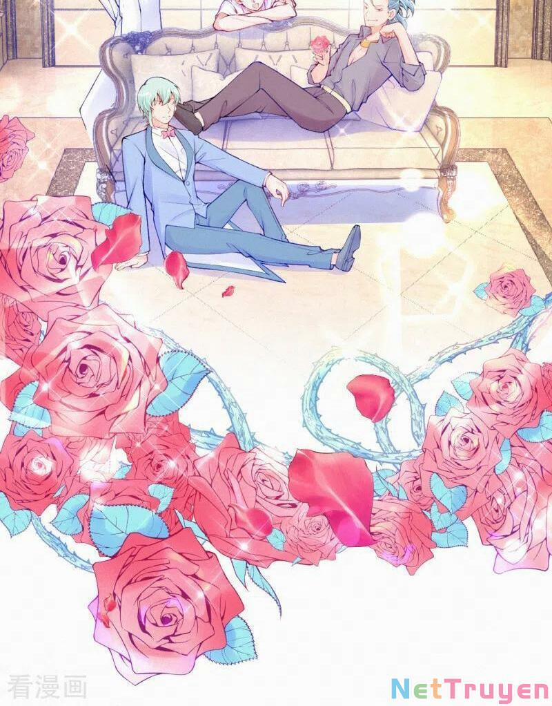 Mami Đột Kích, Thiên Tài Manh Bảo Khốc Daddy 79 trang 5