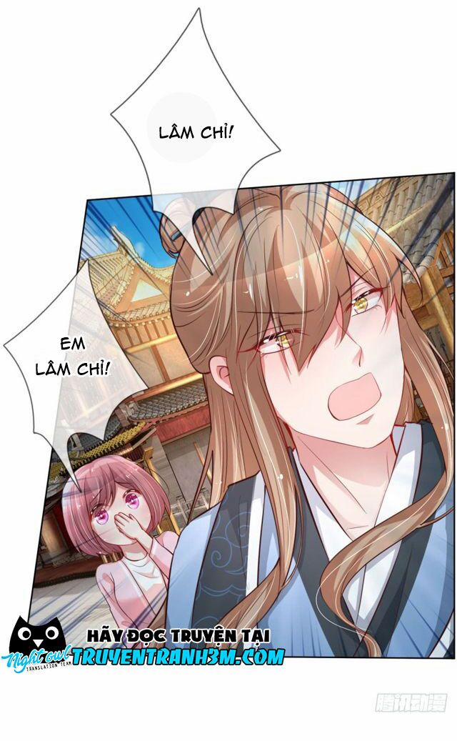 Mami Mau Chạy - Daddy Đuổi Tới Rồi 64 trang 15