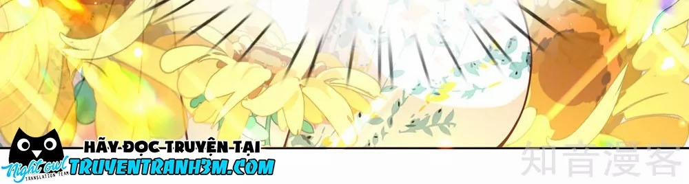 Mami Mau Chạy - Daddy Đuổi Tới Rồi 77 trang 3