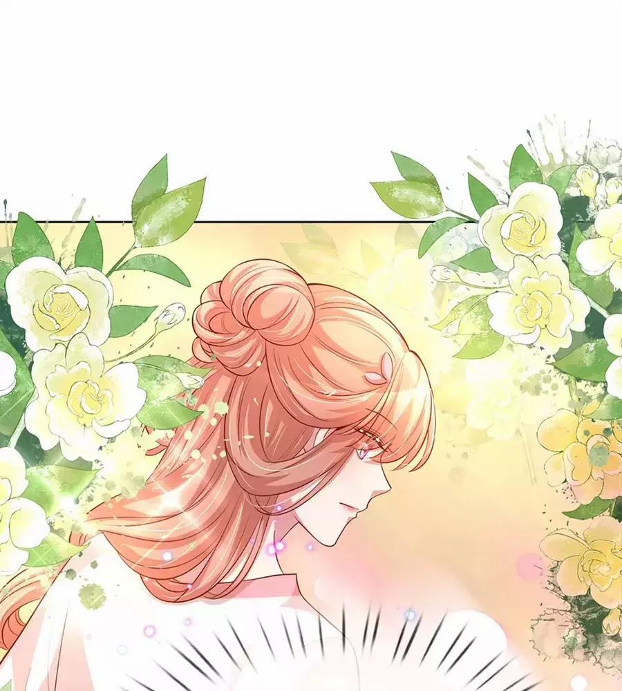 Mami Mau Chạy - Daddy Đuổi Tới Rồi 78 trang 25