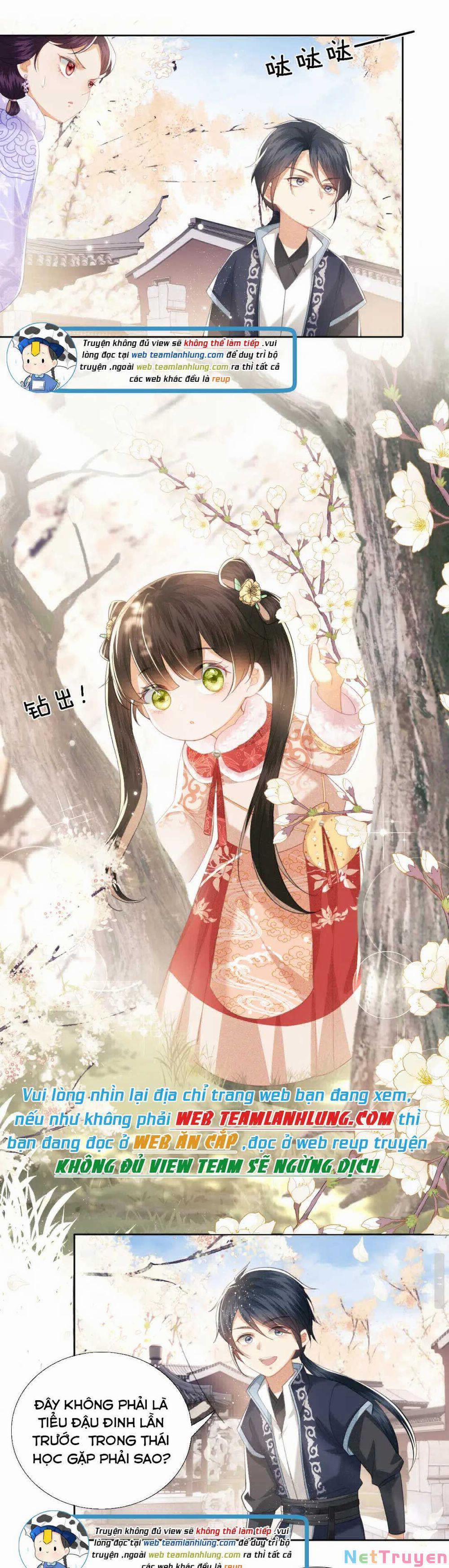 Mãn Cấp Trà Xanh Xuyên Không Thành Tiểu Đáng Thương 16 trang 8