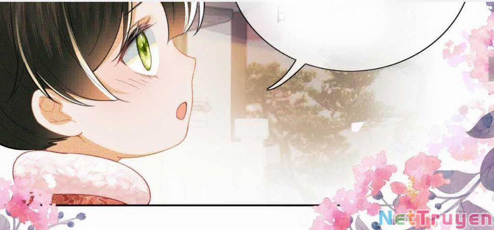 Mãn Cấp Trà Xanh Xuyên Không Thành Tiểu Đáng Thương 18 trang 8