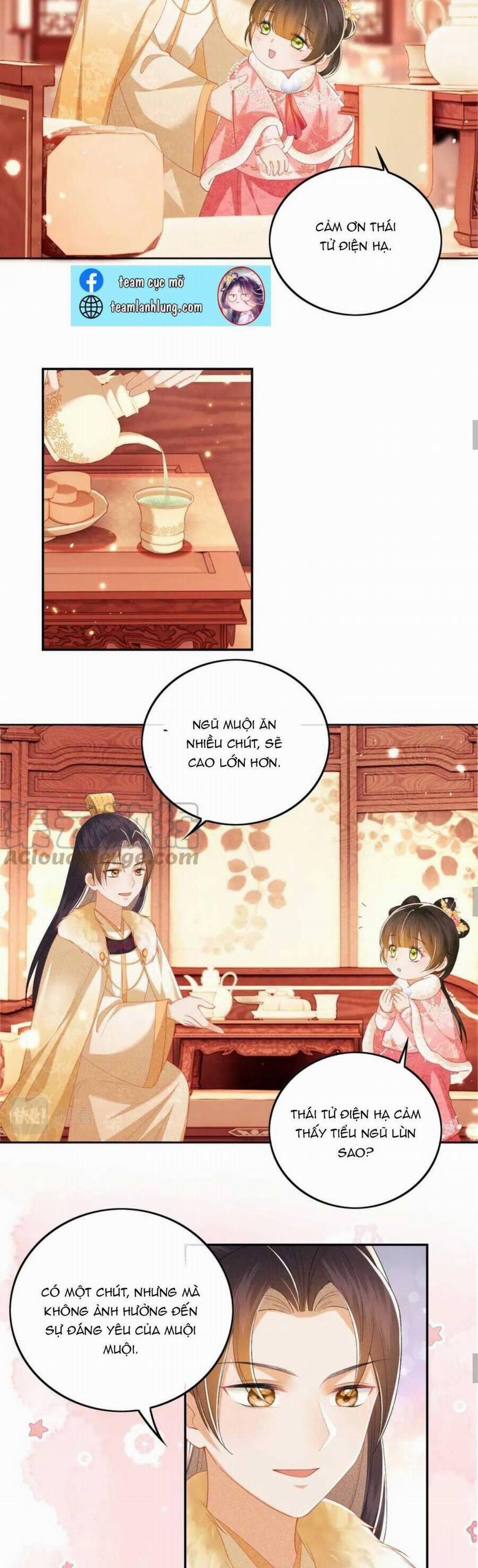 Mãn Cấp Trà Xanh Xuyên Không Thành Tiểu Đáng Thương 34 trang 13