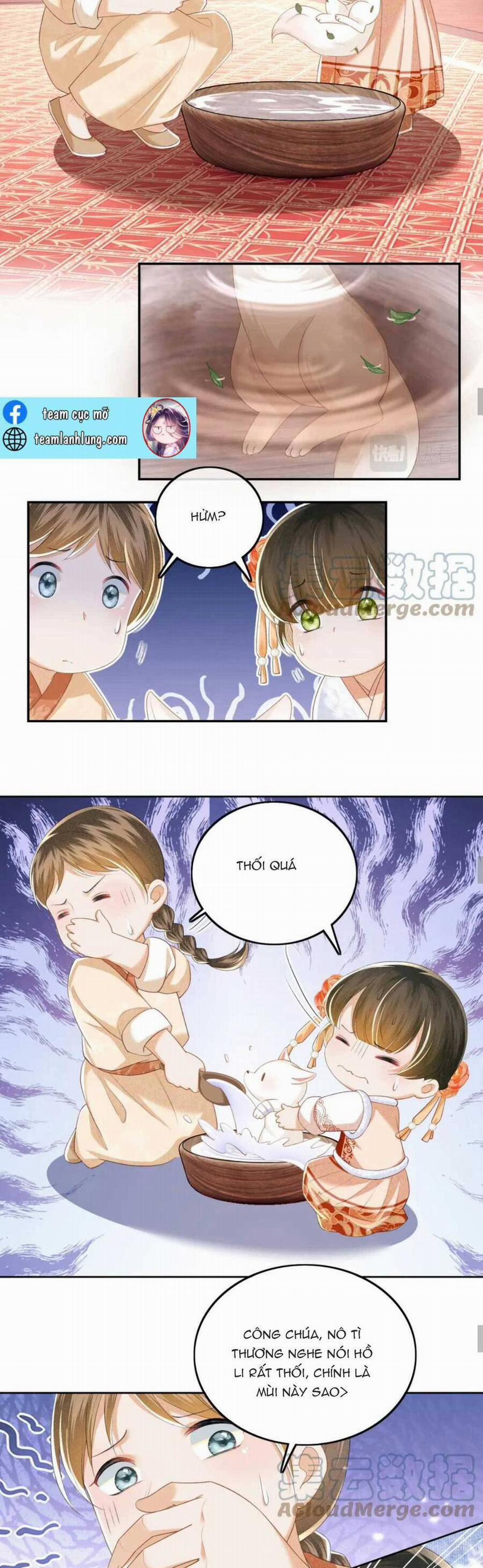 Mãn Cấp Trà Xanh Xuyên Không Thành Tiểu Đáng Thương 45 trang 17