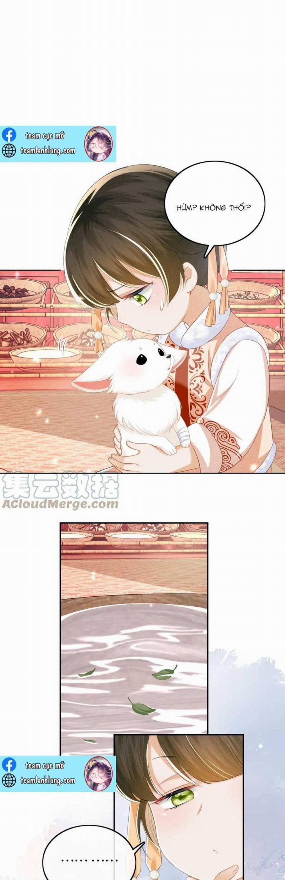 Mãn Cấp Trà Xanh Xuyên Không Thành Tiểu Đáng Thương 45 trang 19