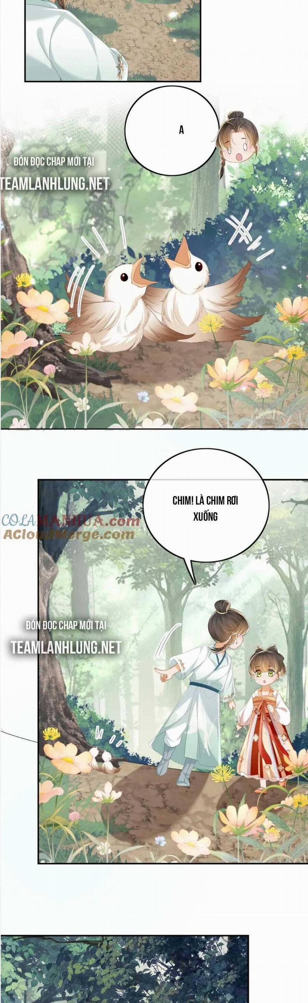 Mãn Cấp Trà Xanh Xuyên Không Thành Tiểu Đáng Thương 68 trang 19