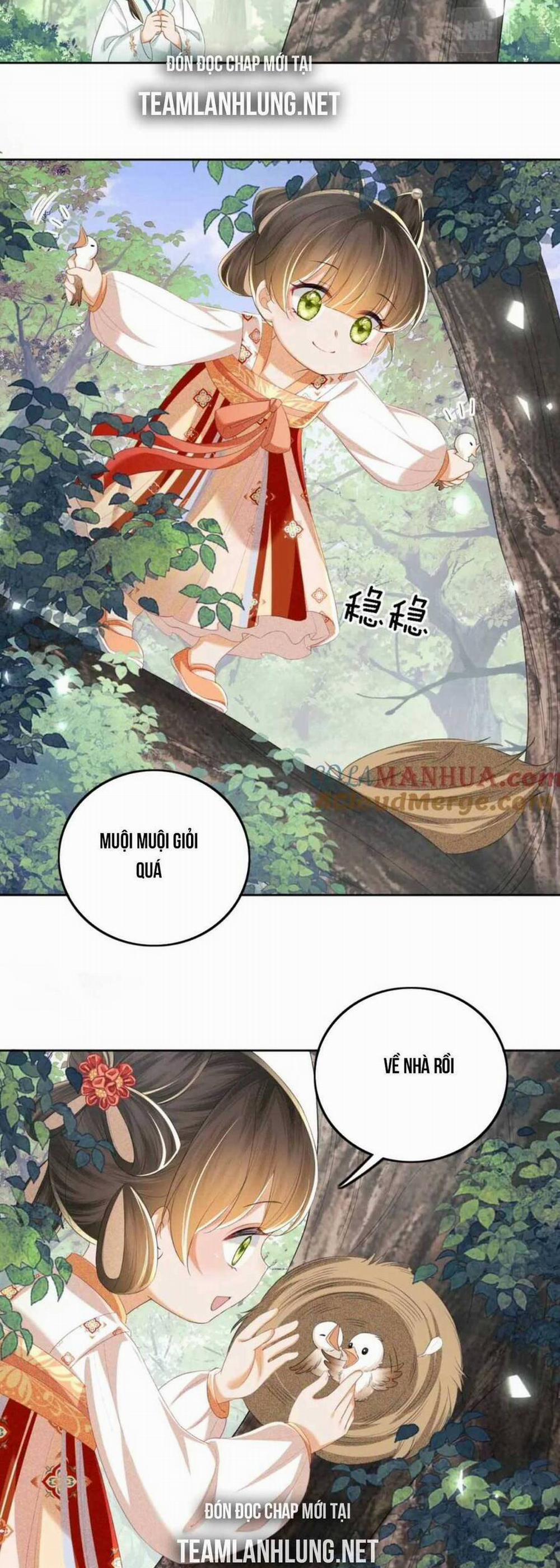 Mãn Cấp Trà Xanh Xuyên Không Thành Tiểu Đáng Thương 68 trang 22