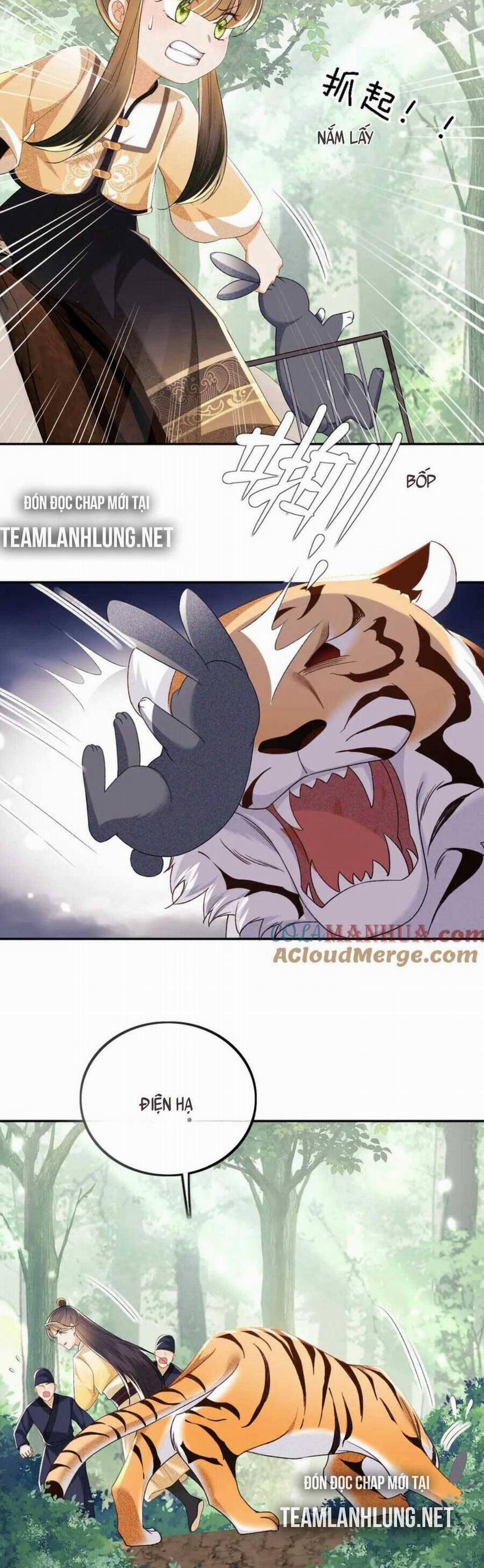 Mãn Cấp Trà Xanh Xuyên Không Thành Tiểu Đáng Thương 70 trang 14