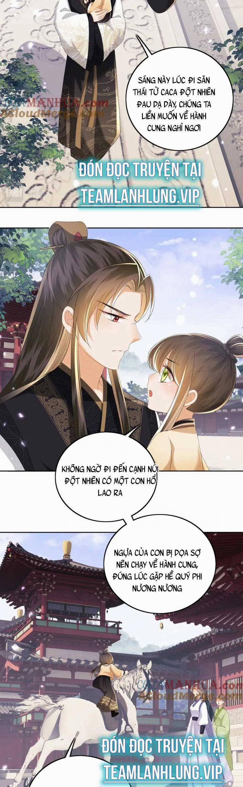 Mãn Cấp Trà Xanh Xuyên Không Thành Tiểu Đáng Thương 71 trang 8