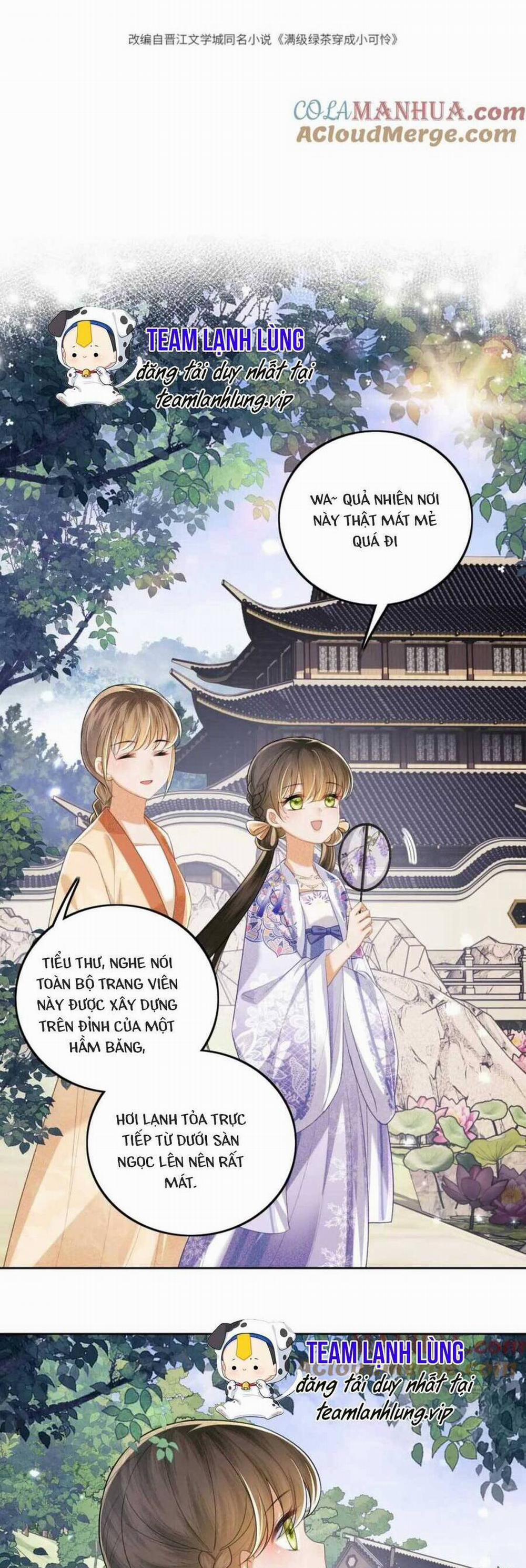 Mãn Cấp Trà Xanh Xuyên Không Thành Tiểu Đáng Thương 80 trang 4