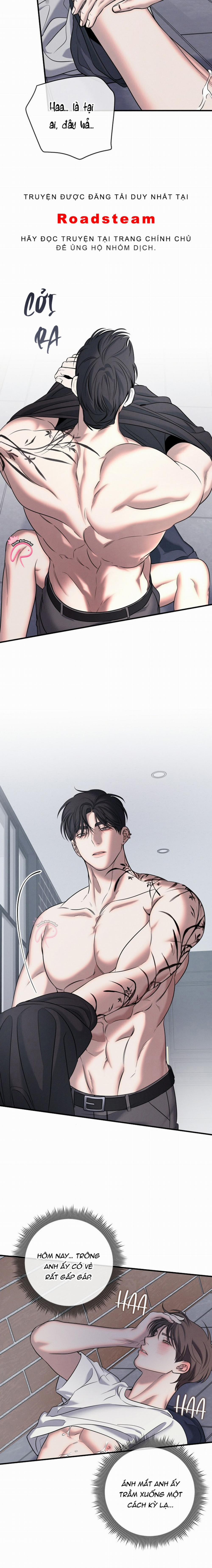 Màn Đêm Bất Tận 27 trang 10